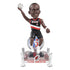 NBA 75th Anniversary Bobbleheads