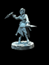 Human Pirate - Duelist