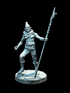 Elf Pirate - Spearman
