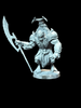 Beetle Warrior