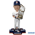 Houston Astros 2017 World Series Champions Bobbleheads