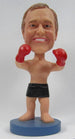 Male Boxer