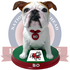Bo Gardner-Webb Runnin' Bulldogs Live Bulldog Bobblehead