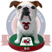 Bo Gardner-Webb Runnin' Bulldogs Live Bulldog Bobblehead