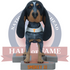 Smokey XI Tennessee Volunteers Live Dog Bobblehead