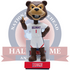 Bruiser the Bruin Belmont Bruins Mascot Bobblehead