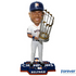 Houston Astros 2017 World Series Champions Bobbleheads