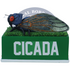 Cicada Bobblehead