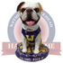 Colonel Rock III Western Illinois Leathernecks Bobblehead