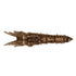 Dragon Skull Incense Holder