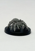 Giant Wolf Spider