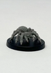 Giant Wolf Spider