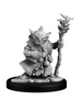 Goblin Mage