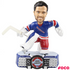 NHL Stadium Lights Bobbleheads
