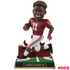 NCAA College Football Gate Series Bobbleheads