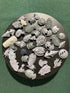 Miscellaneous Loose Shields