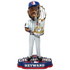 Chicago Cubs 2016 World Series Champions Bobbleheads