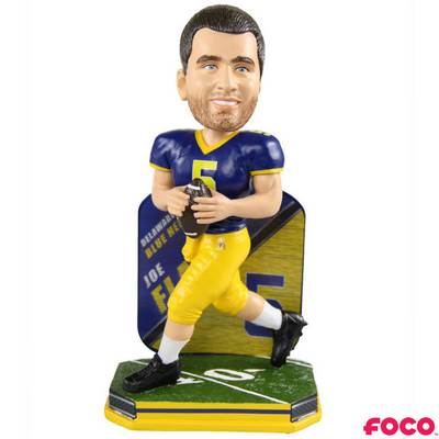 NCAA College Football Super Star Bobbleheads