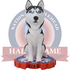 Kiza III Houston Christian Huskies Live Husky Bobblehead