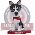Mission III Northern Illinois Huskies Live Husky Bobblehead