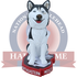 Moses Northeastern Huskies Live Husky Bobblehead