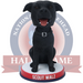 Scout Walz Bobblehead