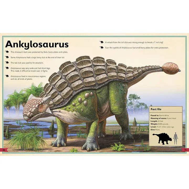 The Magnificent Book of Dinosaurs