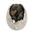 Tyrannosaurus Rex (Sleeping in Egg) Hatchling Jurassic Dinosaur Figurine
