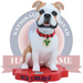 Victor E. Bulldog IV Fresno State Bulldogs Live Bulldog Bobblehead