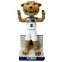 Will D. Cat Villanova Wildcats Mascot Bobbleheads