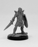 Aasimar Paladin