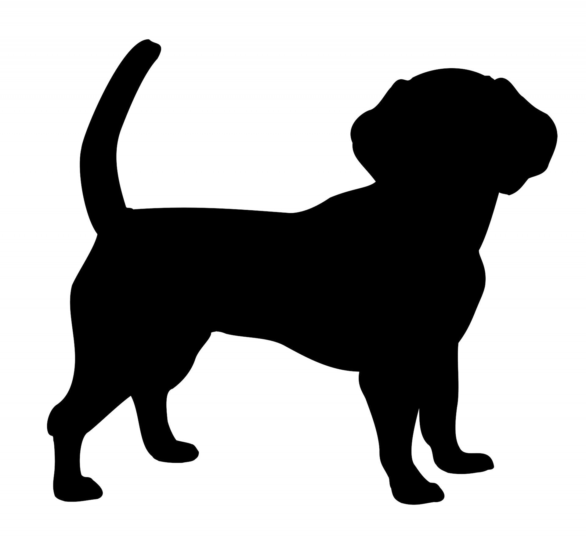 Full Custom Pet Bobblehead