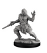 Dragonborn Monk